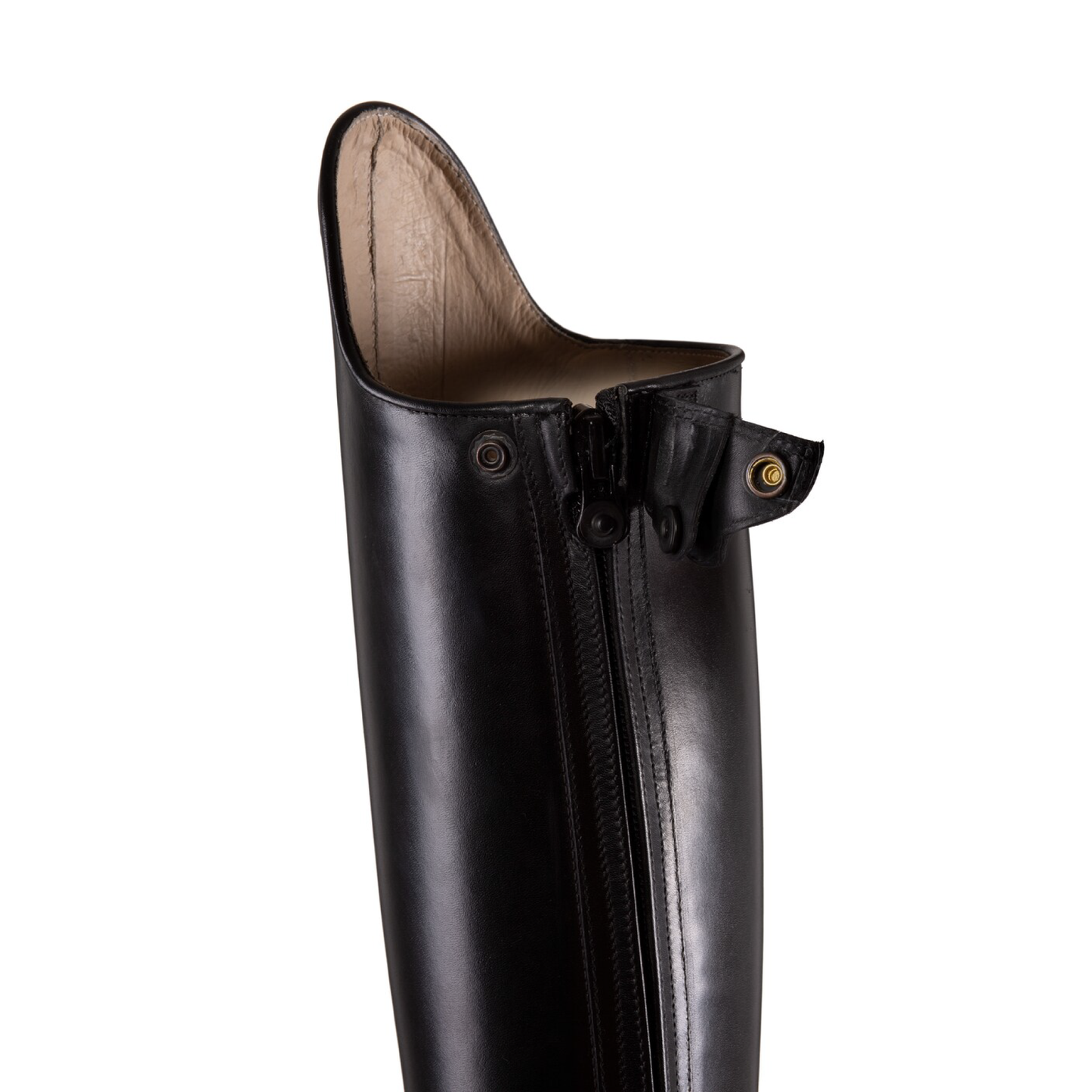 Dressage Evo / ドレッサージュ エボ