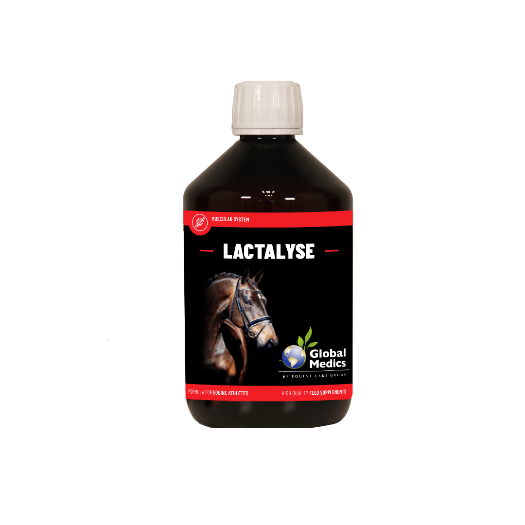 LACTALYSE 400ml / ラクタリース