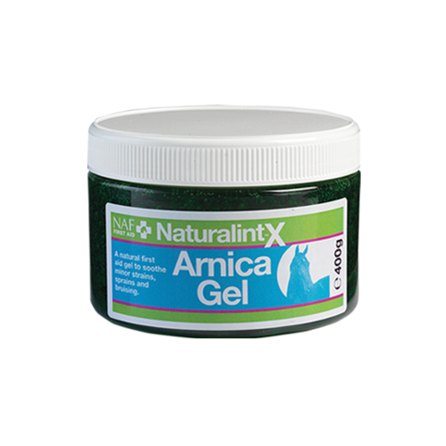 Naturalintx Arnica Gel 400g / アルニカジェル