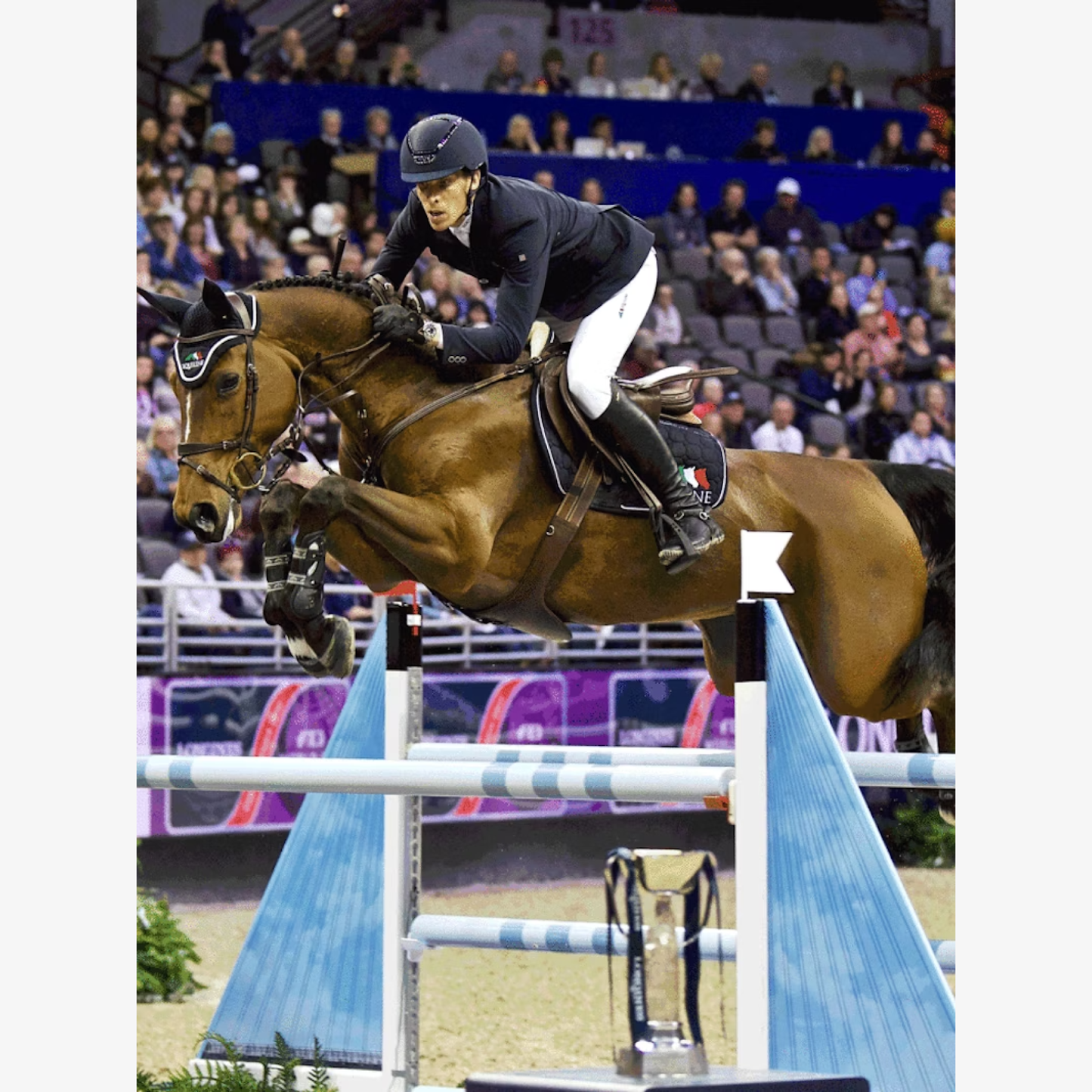 Reins by HVE / エイチ ブイ イー