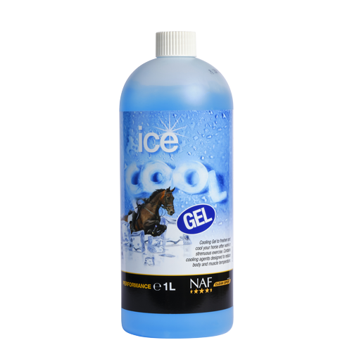 Ice Cool Gel 1L / アイスクールジェル