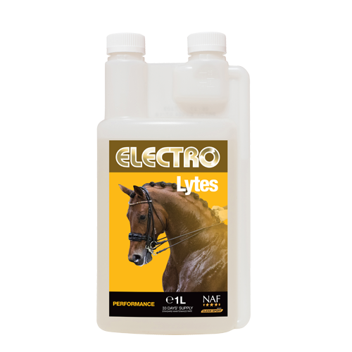 Liquid Electro Lytes 1L / リキットエレクトロライト