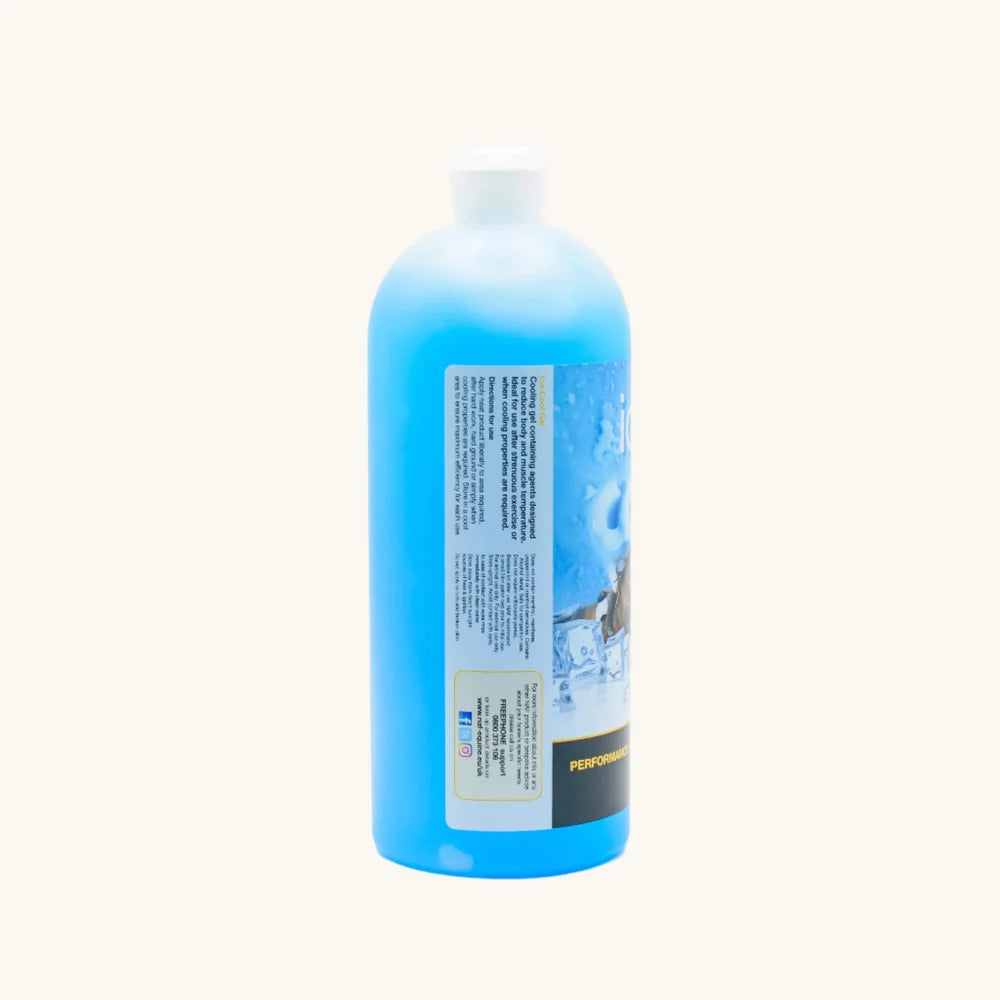 Ice Cool Gel 1L / アイスクールジェル
